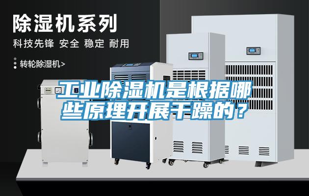 工业猫咪成人官网是根据哪些原理开展干躁的？