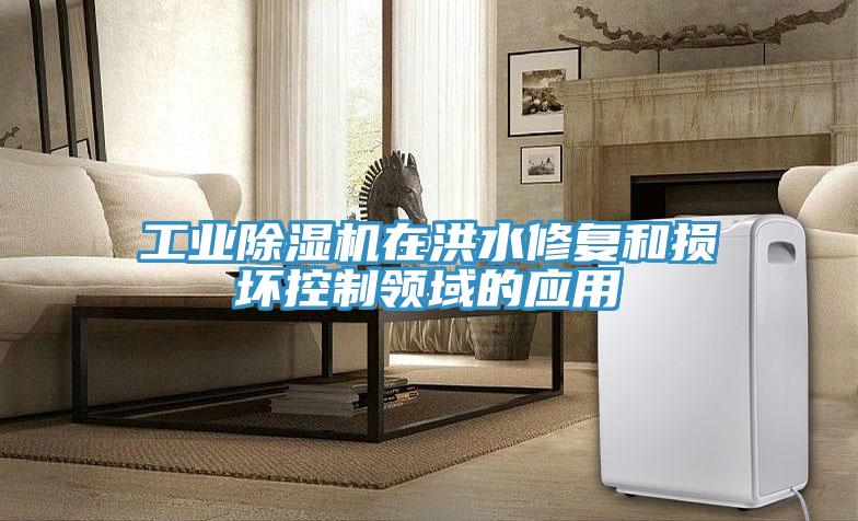 工业猫咪成人官网在洪水修复和损坏控制领域的应用