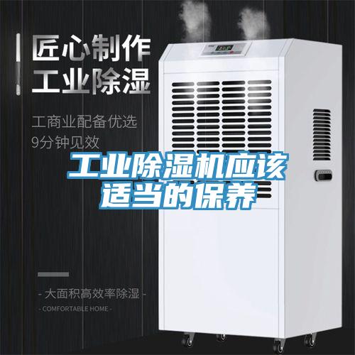工业猫咪成人官网应该适当的保养