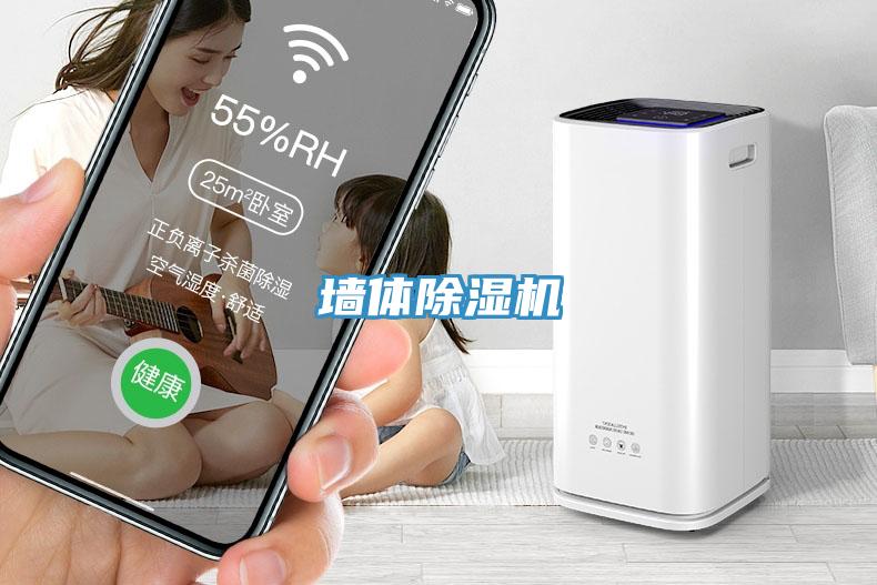 墙体猫咪成人官网