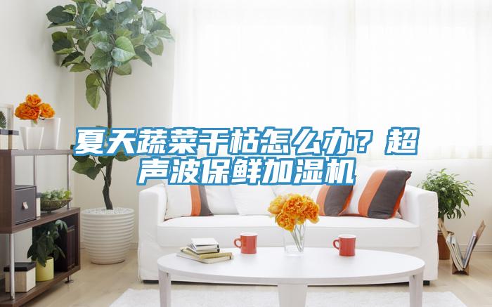 夏天蔬菜干枯怎么办？超声波保鲜加湿机