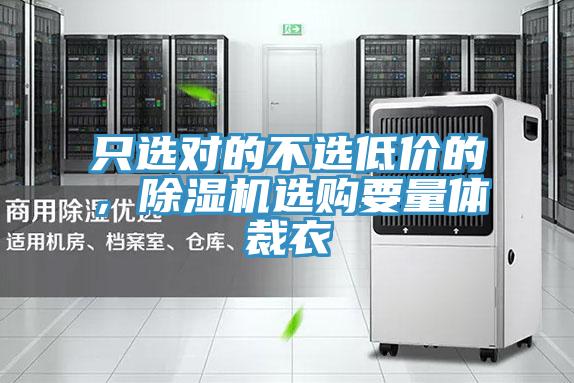 只选对的不选低价的，猫咪成人官网选购要量体裁衣