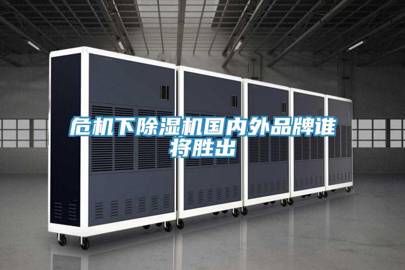 危机下猫咪成人官网国内外品牌谁将胜出
