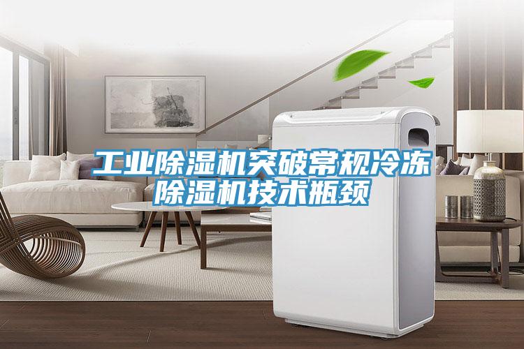 工业猫咪成人官网突破常规冷冻猫咪成人官网技术瓶颈
