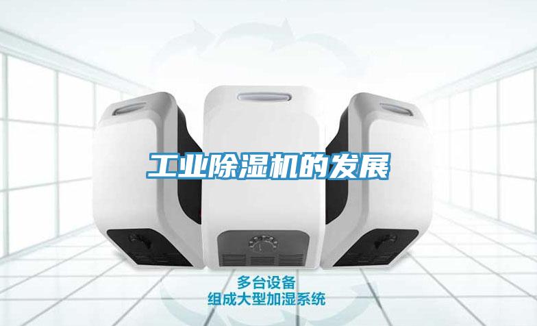 工业猫咪成人官网的发展