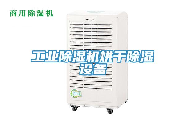 工业猫咪成人官网烘干除湿设备
