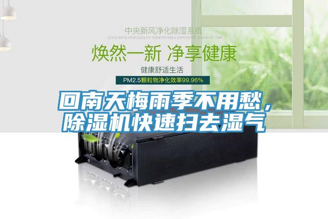 回南天梅雨季不用愁，猫咪成人官网快速扫去湿气