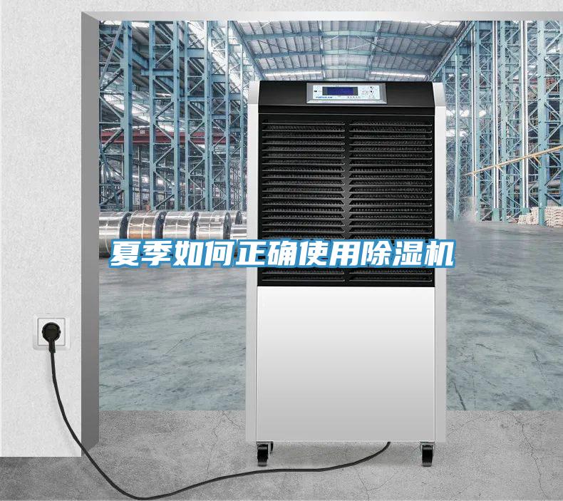 夏季如何正确使用猫咪成人官网