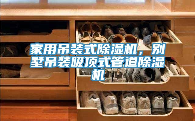 家用吊装式猫咪成人官网，别墅吊装吸顶式管道猫咪成人官网
