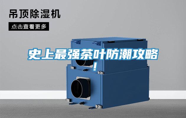 史上最强茶叶防潮攻略！