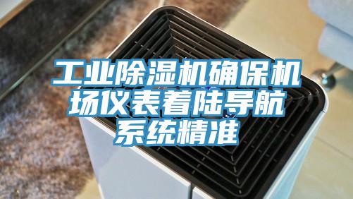 工业猫咪成人官网确保机场仪表着陆导航系统精准