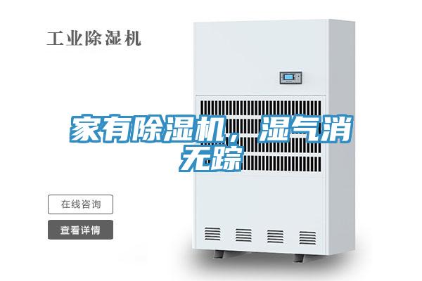 家有猫咪成人官网，湿气消无踪