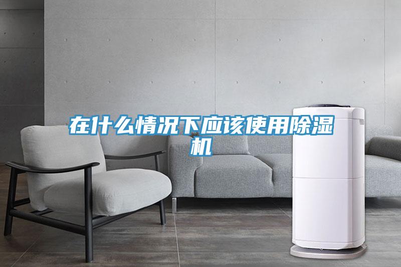 在什么情况下应该使用猫咪成人官网