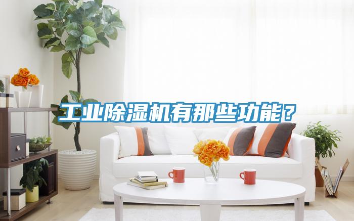 工业猫咪成人官网有那些功能？