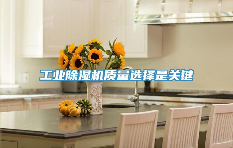 工业猫咪成人官网质量选择是关键