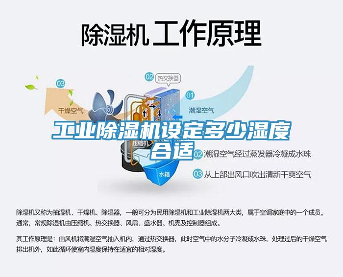 工业猫咪成人官网设定多少湿度合适