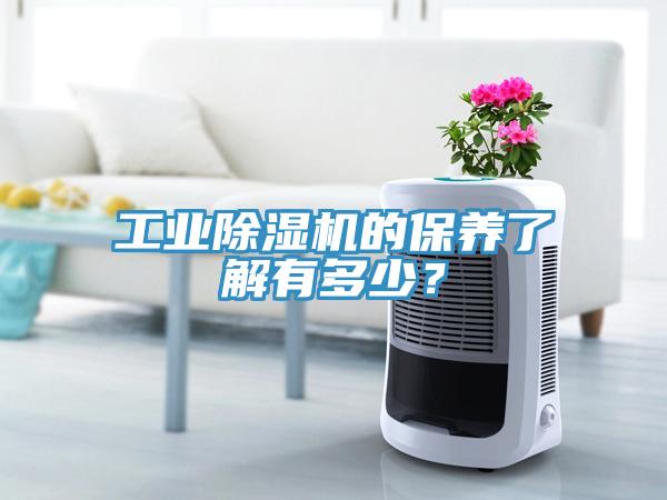 工业猫咪成人官网的保养了解有多少？