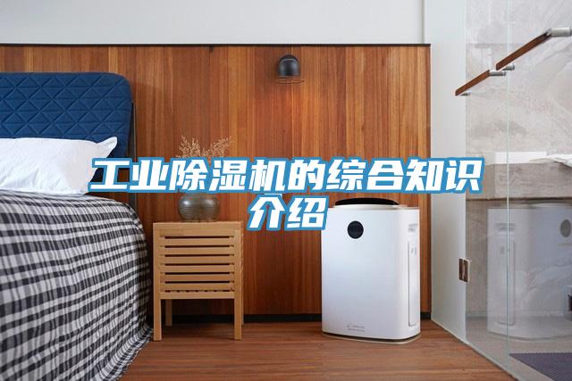 工业猫咪成人官网的综合知识介绍