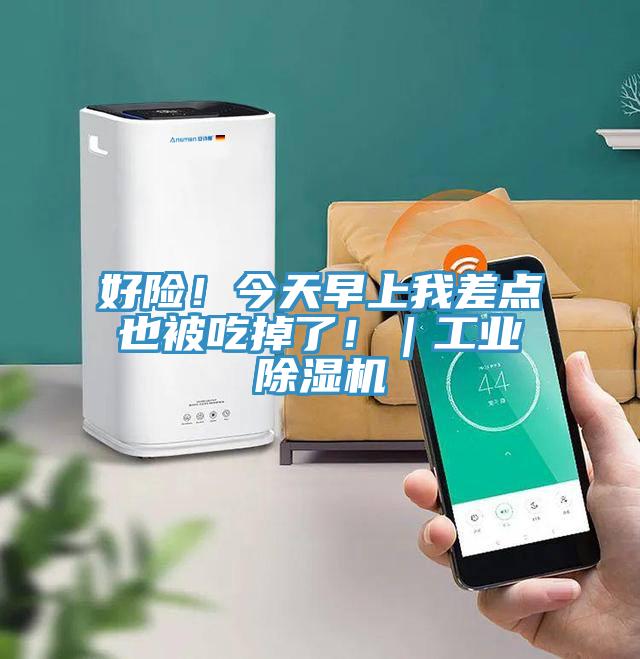 好险！今天早上我差点也被吃掉了！｜工业猫咪成人官网