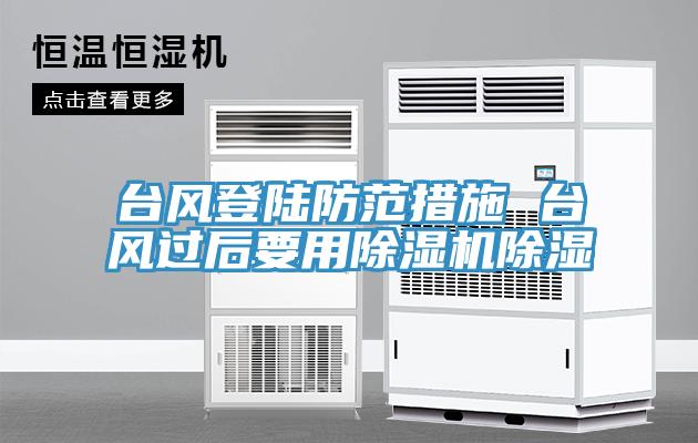 台风登陆防范措施 台风过后要用猫咪成人官网除湿