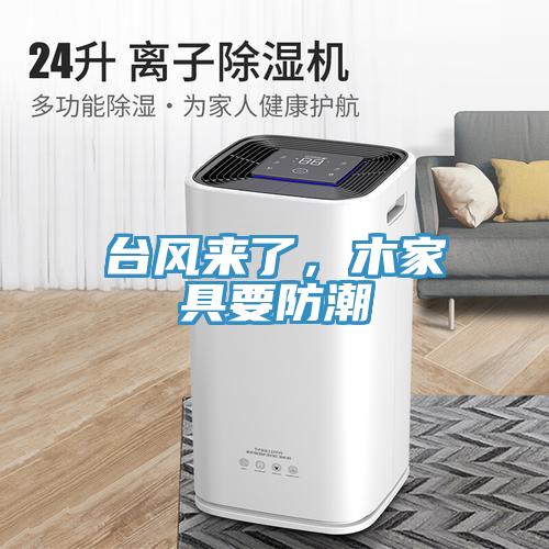 台风来了，木家具要防潮