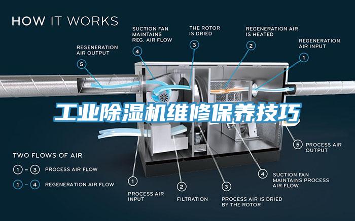 工业猫咪成人官网维修保养技巧