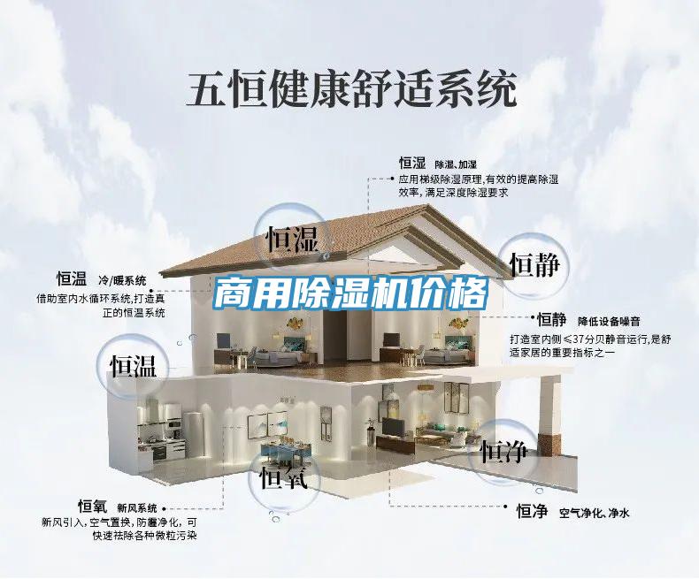 商用猫咪成人官网价格