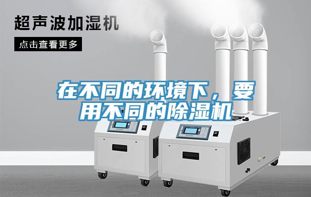 在不同的环境下，要用不同的猫咪成人官网
