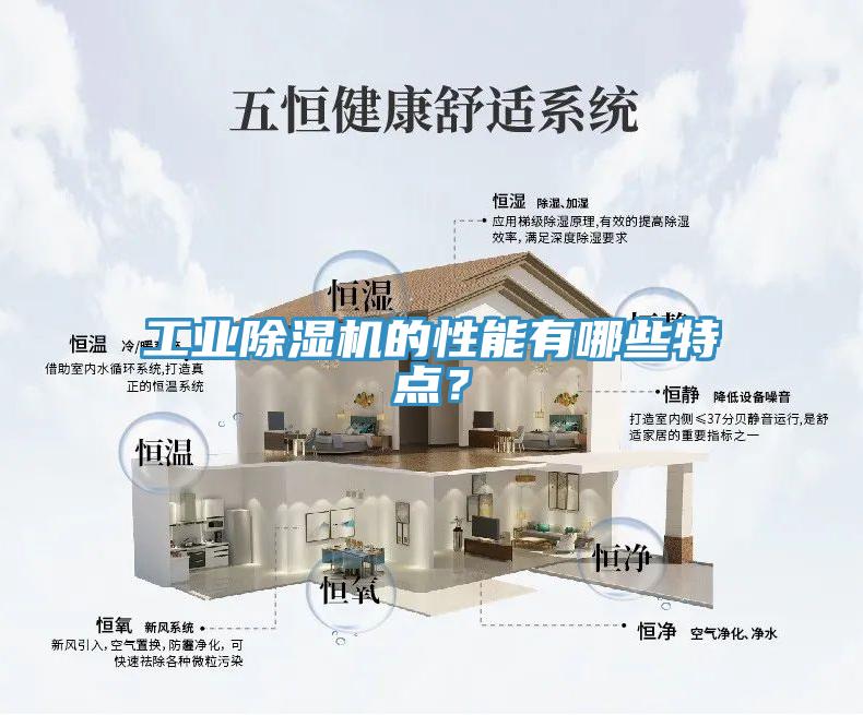 工业猫咪成人官网的性能有哪些特点？