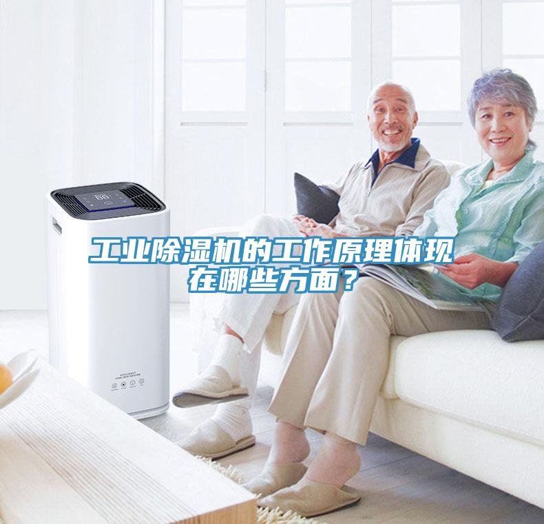 工业猫咪成人官网的工作原理体现在哪些方面？