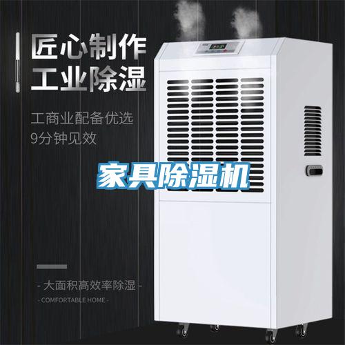 家具猫咪成人官网