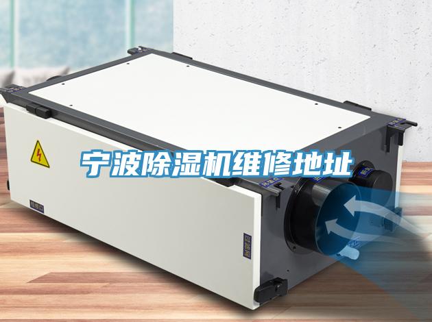 宁波猫咪成人官网维修地址