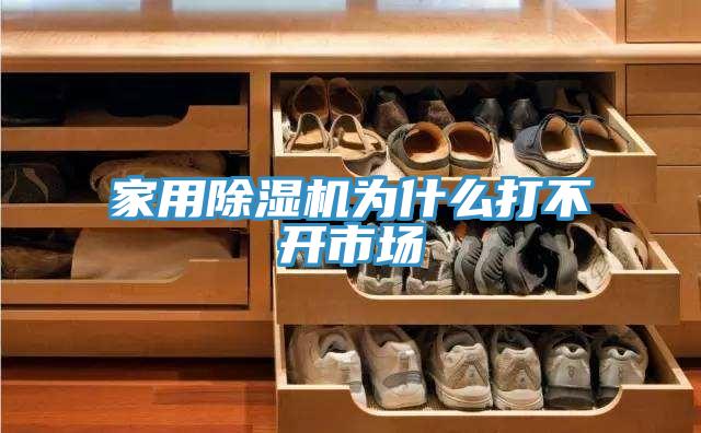 家用猫咪成人官网为什么打不开市场