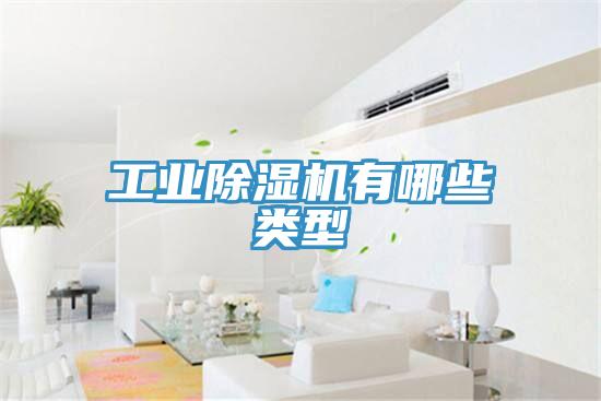 工业猫咪成人官网有哪些类型