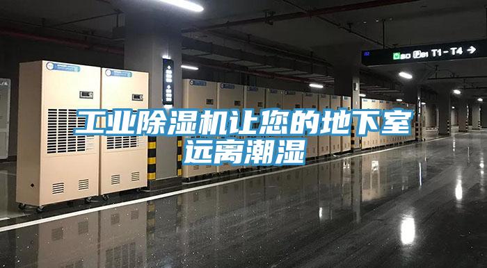 工业猫咪成人官网让您的地下室远离潮湿