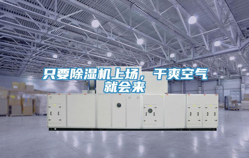 只要猫咪成人官网上场，干爽空气就会来