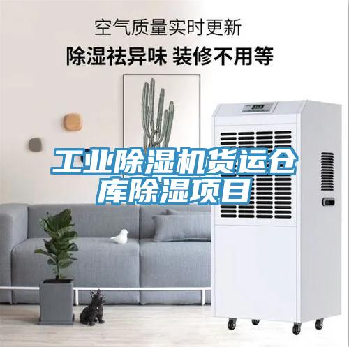 工业猫咪成人官网货运仓库除湿项目