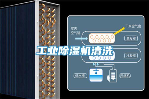 工业猫咪成人官网清洗