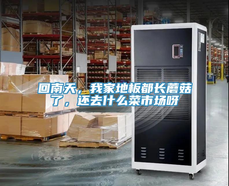 回南天，我家地板都长蘑菇了，还去什么菜市场呀