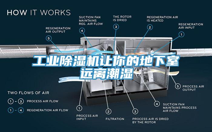 工业猫咪成人官网让你的地下室远离潮湿
