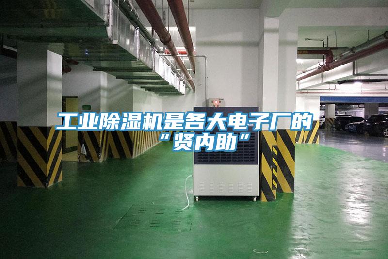 工业猫咪成人官网是各大电子厂的“贤内助”