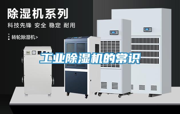 工业猫咪成人官网的常识