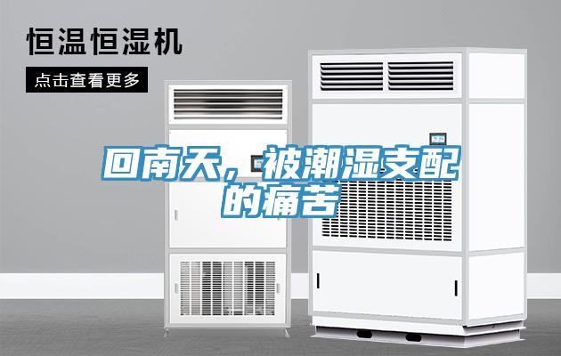 回南天，被潮湿支配的痛苦
