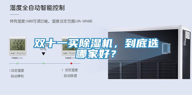 双十一买猫咪成人官网，到底选哪家好？
