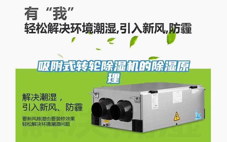 吸附式转轮猫咪成人官网的除湿原理