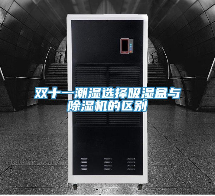 双十一潮湿选择吸湿盒与猫咪成人官网的区别