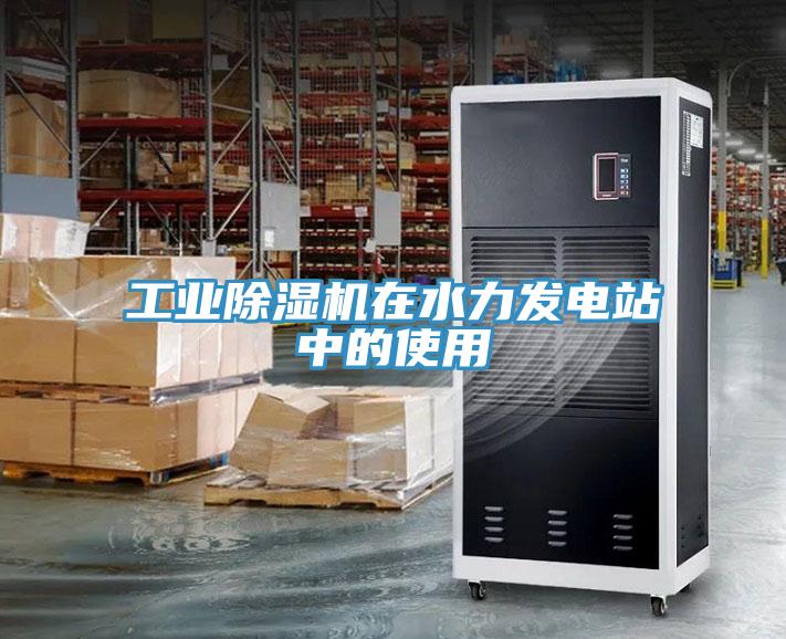 工业猫咪成人官网在水力发电站中的使用