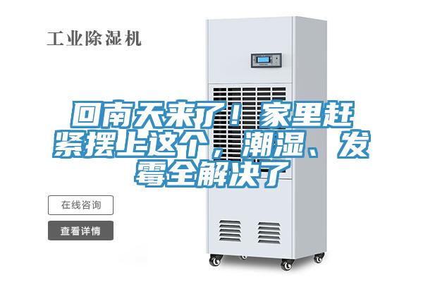 回南天来了！家里赶紧摆上这个，潮湿、发霉全解决了
