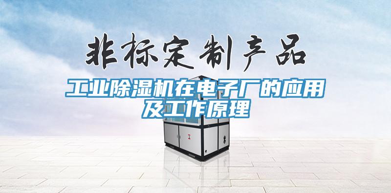 工业猫咪成人官网在电子厂的应用及工作原理