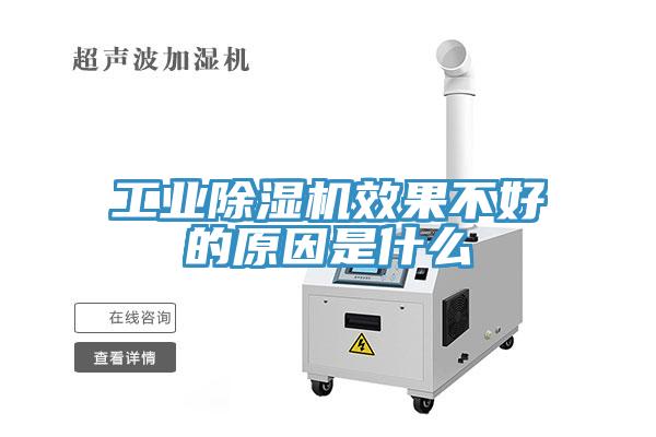 工业猫咪成人官网效果不好的原因是什么